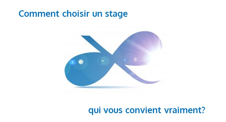 You are currently viewing Comment choisir le stage qui vous convient vraiment?